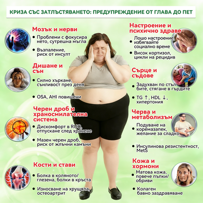 Официален магазин | 🧑‍⚕️𝗟𝘂𝘅𝗮𝗿𝗶𝘀𝗲® МОРИНГА Х БЕРБЕРИН 10-IN-1 Напреднал Нано Микроигли Пластир (Веднъж дневно, видими резултати след 7 дни) ✅ Подходящ при: затлъстяване, диабет, сънна апнея и проблеми със ставите 🍀