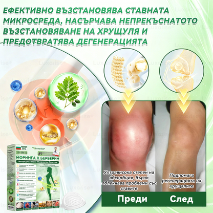 Официален магазин | 🧑‍⚕️𝗟𝘂𝘅𝗮𝗿𝗶𝘀𝗲® МОРИНГА Х БЕРБЕРИН 10-IN-1 Напреднал Нано Микроигли Пластир (Веднъж дневно, видими резултати след 7 дни) ✅ Подходящ при: затлъстяване, диабет, сънна апнея и проблеми със ставите 🍀