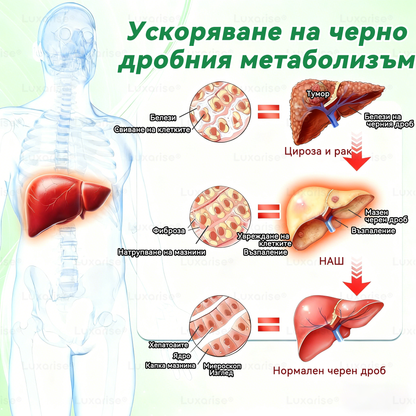 Официален магазин | 🧑‍⚕️𝗟𝘂𝘅𝗮𝗿𝗶𝘀𝗲® МОРИНГА Х БЕРБЕРИН 10-IN-1 Напреднал Нано Микроигли Пластир (Веднъж дневно, видими резултати след 7 дни) ✅ Подходящ при: затлъстяване, диабет, сънна апнея и проблеми със ставите 🍀